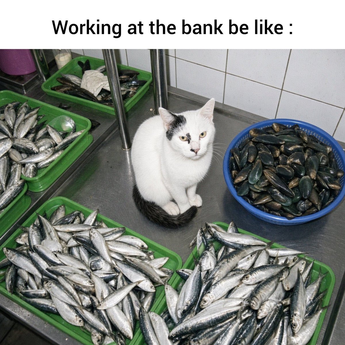 Dailycryptovibe's tweet photo. https://t.co/prDqoFqGQA