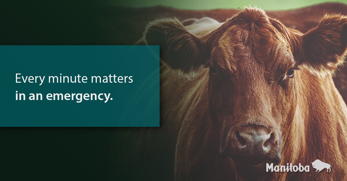 MBGovAg's tweet photo. Be prepared for the unexpected. Premises identification is an important traceability tool that helps emergency responders locate livestock and poultry operations when it matters most. Learn more at https://t.co/4FGaDae7U5. #MBAg https://t.co/QQaWsgjnAq