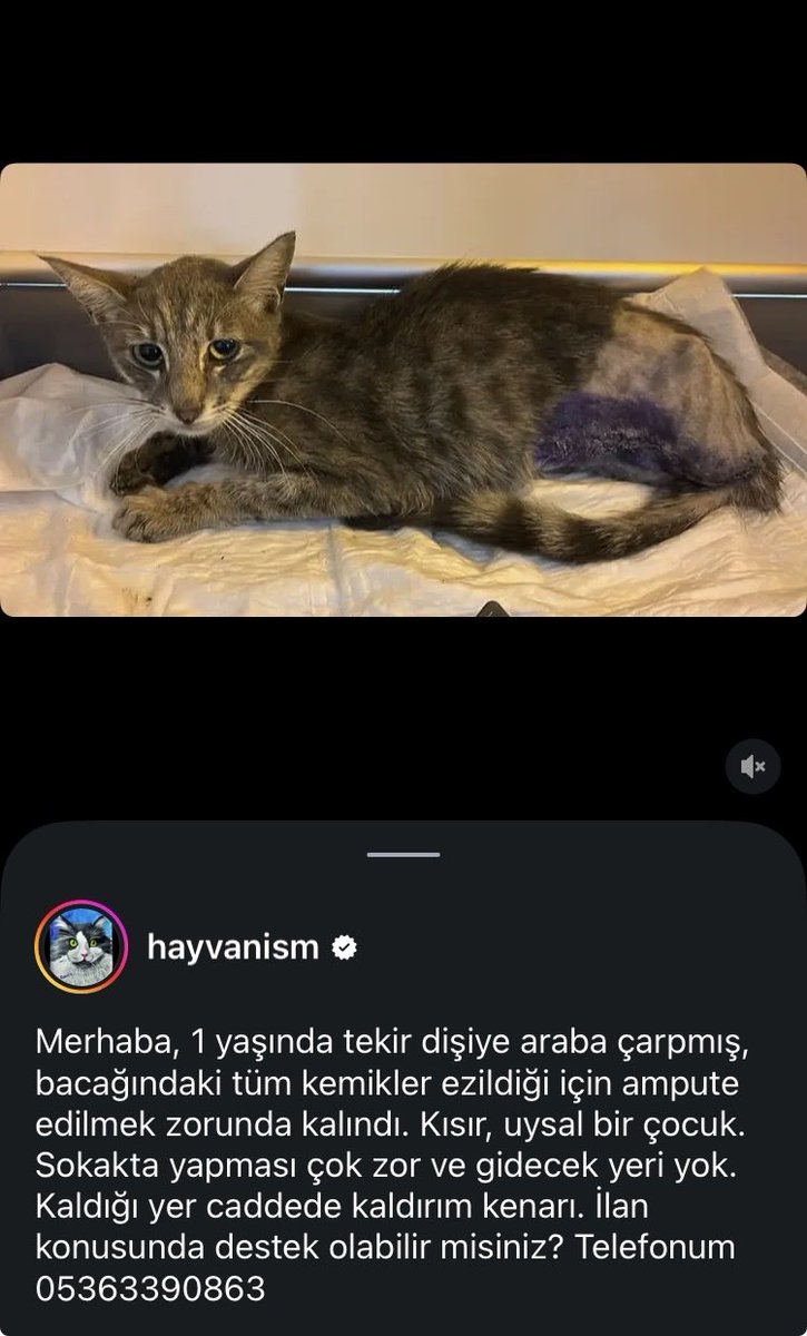 womanchildanima's tweet photo. Engelli cana çok acil yuva https://t.co/VAJD1V0BUl
