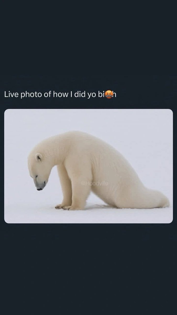Toxic_nicca's tweet photo. https://t.co/cWeyK2u7nm