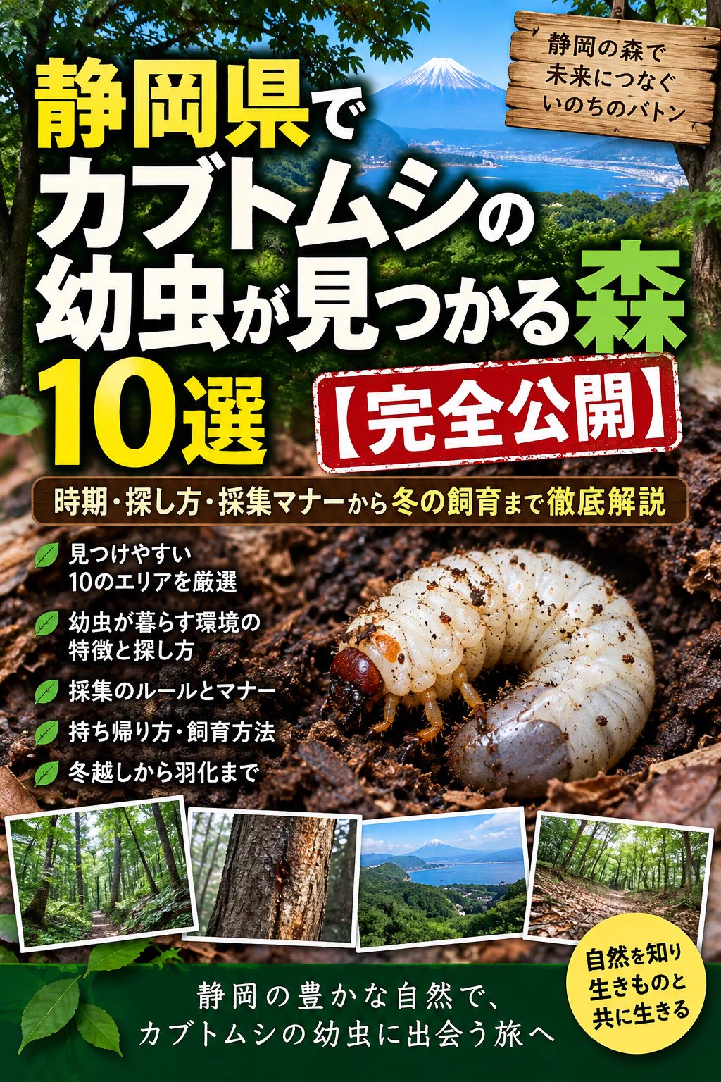 トーチウッド鶴ヶ島｜国産カブトムシ｜Amazon店 on X: 