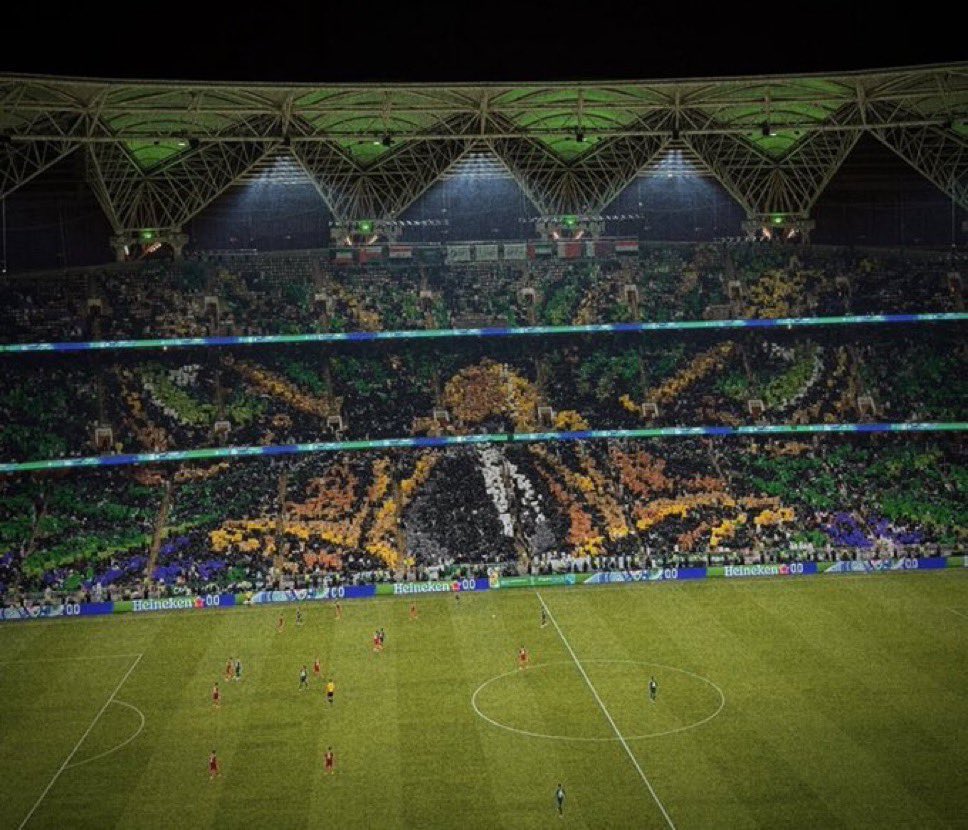 z9nwtv's tweet photo. تتواقع انه المنتخب بيوقف على اشكالك؟

بوجودك وعدمه نرفع التيفو ونجيب الفوز في يوم الوطن

الف مبروك ياشعب طويق العظيم💚 https://t.co/XHwinSnLhd