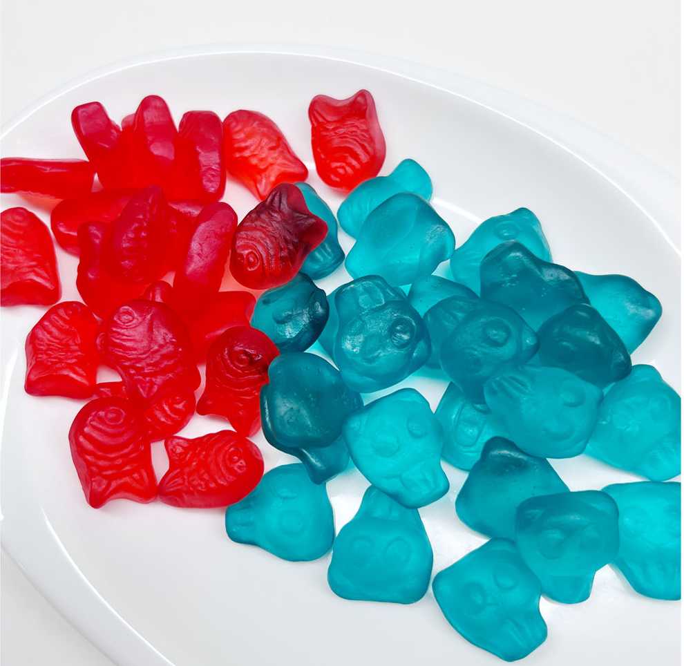 Zhongfa_'s tweet photo. Looking for a Candy Manufacturing Partner? 🌍

We provide professional soft candy production for brands and businesses, with quality and stable supply in focus.

Are you sourcing candy for your market?
Learn more: https://t.co/6K5davrWnm
#fyp #Gummies #sugar #gummycandy #candy https://t.co/nAQa8fad3d