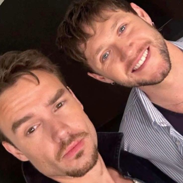 padawan_strange's tweet photo. Niall Horan fue el último el ver &amp; abrazar a Liam, fue el último en despedirse de él, dos años después le hizo homenaje…..

Y todavía se atreven a decirnos que ya lo superemos????? https://t.co/w3waI7K8PN