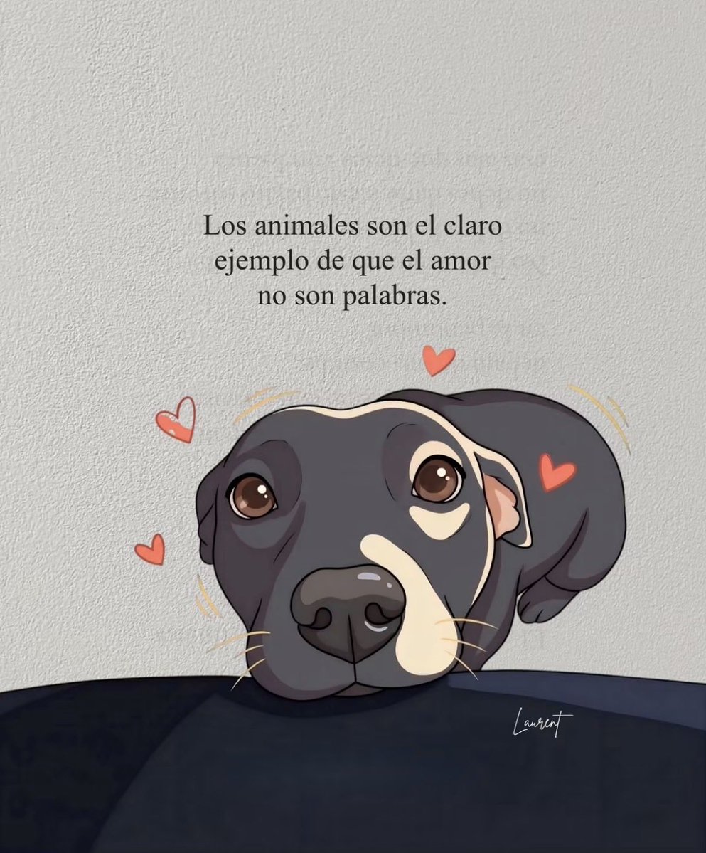 Amiliartesanal's tweet photo. 🤩🫶🏼👏🏻 https://t.co/b7DSQ966X1