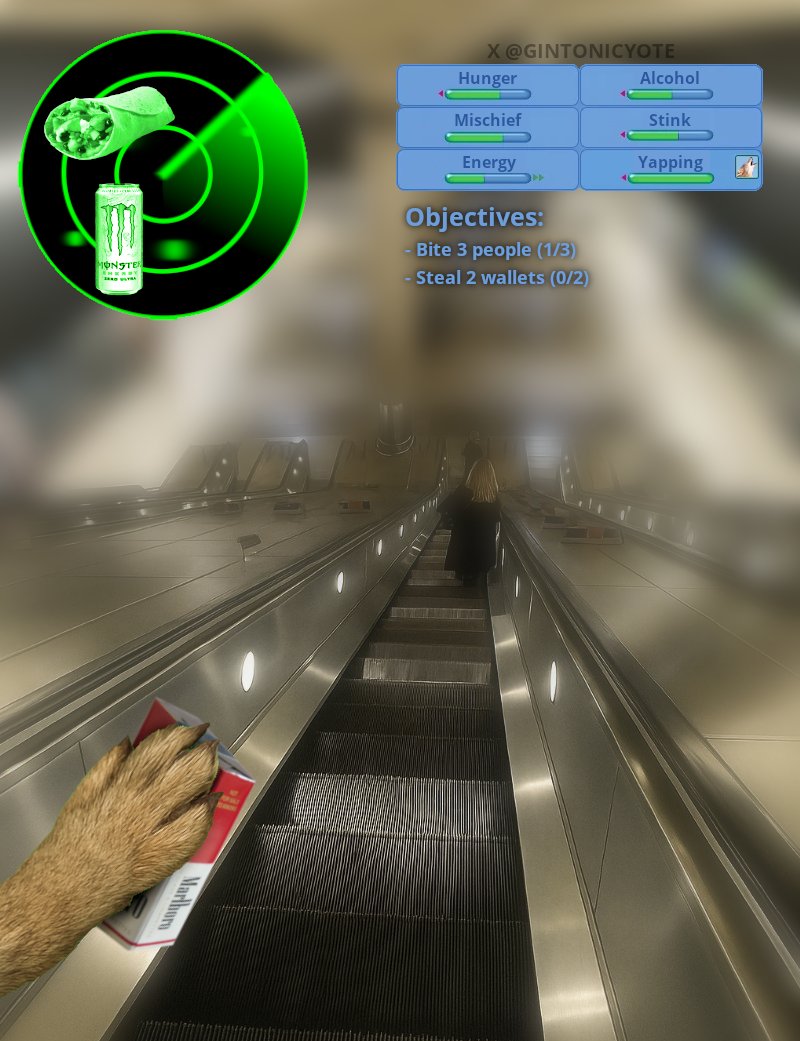 GinTonicYote's tweet photo. Reminder that this is how a yote sees the world https://t.co/apGqiGmNsP