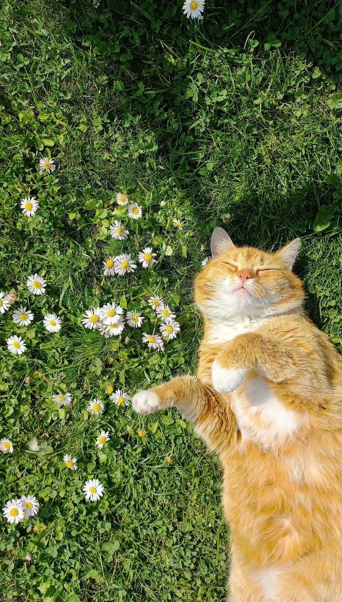 EugeneSand4lt's tweet photo. it has convinced me that it is only trying to protect me from what if’s and what may’s, but it nervously has reprogrammed my brain to only accept what will guarantee that ending because those are the only ones it has allowed me to see https://t.co/mClv5oteUx