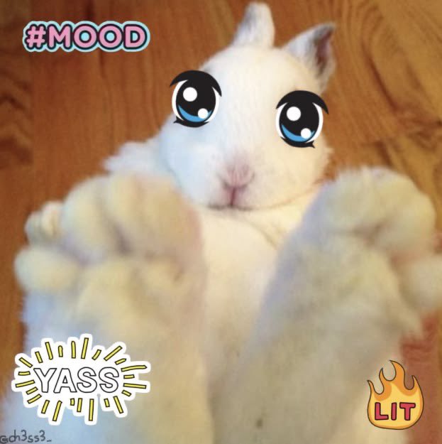 bunnyposting_'s tweet photo. there was a healing https://t.co/P4c8pdl7Sk