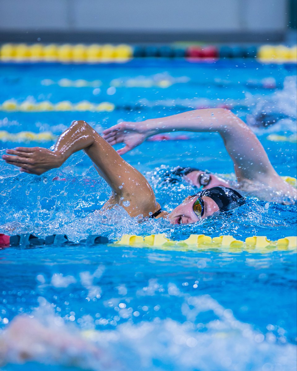 uncwswimdive's tweet photo. trust the training๐
#SeahawkSwimDive https://t.co/RQ62PsUSl9