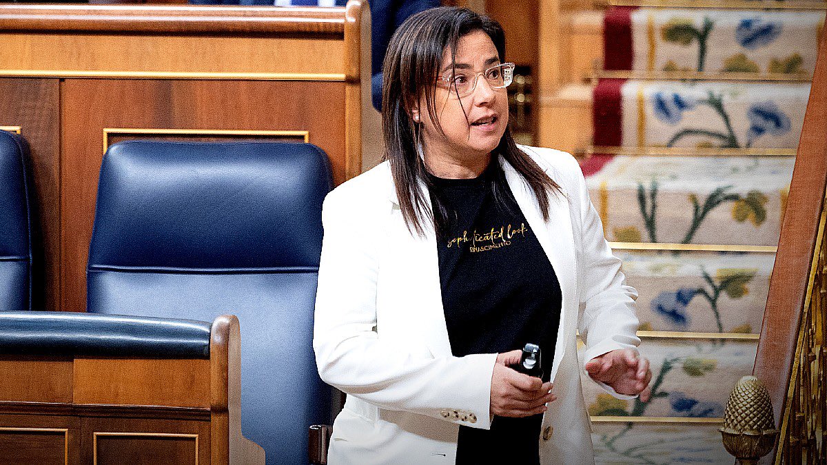 anluma99's tweet photo. Ana Vázquez Blanco , diputada del PP, ex inspectora de Policía y portavoz de interior en el Congreso: “ no es un arma porque cualquiera puede cómpralo en una armería “ https://t.co/mS1padD9jL