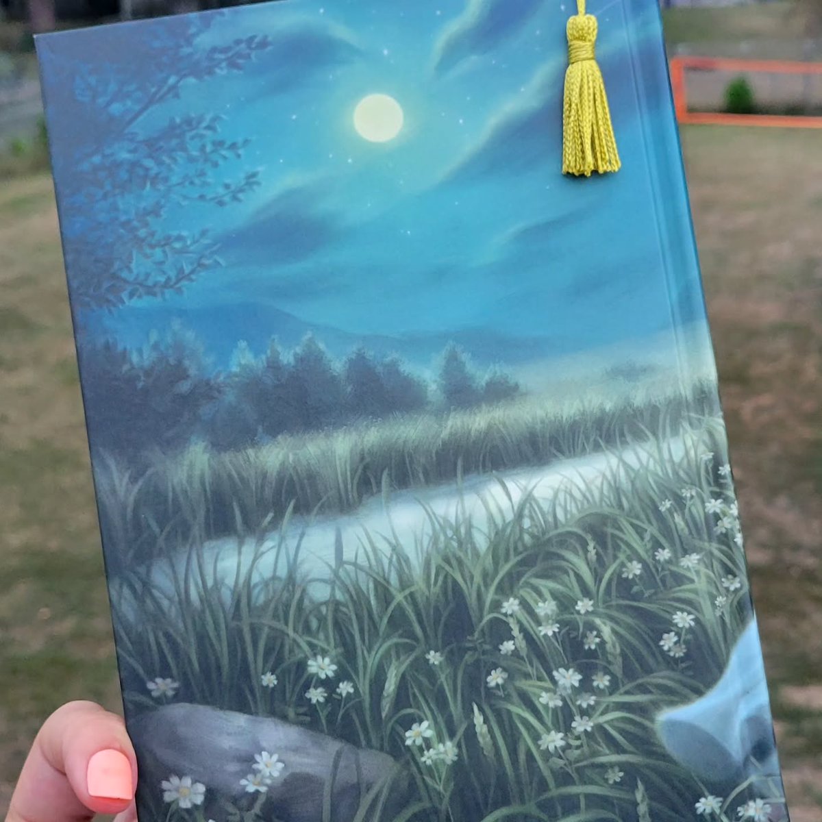 CARLOSARMANDOF9's tweet photo. Removing the dust jacket revealed a stunning naked hardback cover. Currently reading Wild Reverence by Rebecca Ross, and 100 pages in, I’m already captivated. Excited to see where the next 400 pages take me. https://t.co/g2mzjUYlX1