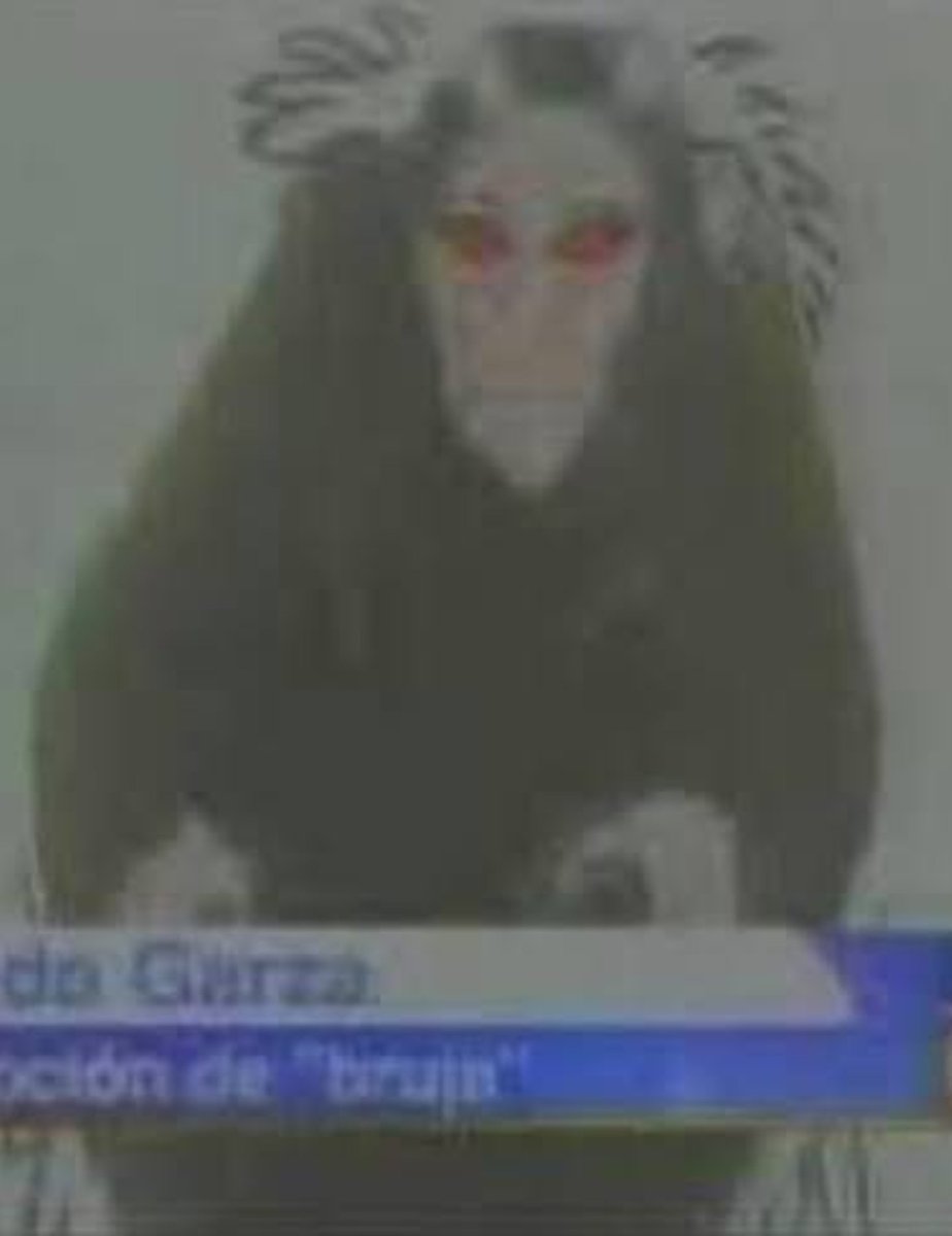 Ovniologia01's tweet photo. Em 16 de janeiro de 2004, o policial Leonardo Samaniego fazia uma ronda de rotina durante a madrugada em Guadalupe, Nuevo León, México, quando se deparou com uma figura bizarra.

Segundo seu relato, ao passar por uma rua da colônia Valles de la Silla, Samaniego viu uma grande figura escura cair de uma árvore. O que mais o surpreendeu foi que ela parou antes de tocar o solo e começou a descer lentamente, como se estivesse levitando. Quando finalmente ficou diante da viatura, ele acendeu os faróis para tentar identificar o que estava vendo e percebeu que se tratava de uma figura feminina vestida de preto, que tentava proteger o rosto da luz.

“Era uma mulher com grandes olhos negros, tudo era preto, sem pálpebras. Sua pele era marrom-escura e sua expressão era horrível.”

Segundo Samaniego, a criatura então se lançou rapidamente contra a viatura, atingindo o para-brisa e tentando alcançá-lo com as mãos. Aterrorizado, ele colocou o carro em marcha à ré, acelerou e pediu reforço pelo rádio. Durante a fuga, afirmou que a criatura continuava agarrada ao veículo e arranhava o para-brisa. Ao chegar ao fim da rua, Samaniego perdeu a consciência.

Exames clínicos, toxicológicos e testes psicológicos foram realizados;