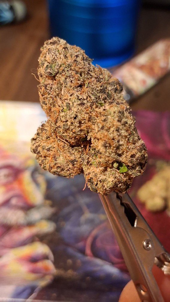 CloudKings5's tweet photo. Tap in 📲⛽️ weed Kragujevac weed Aranđelovac weed Topola weed Rača weed Batočina weed Lapovo weed Knić weed Stragari weed Gruža weed Gornja Trnava weed Belosavci weed Natalinci weed Jovanovac weed Desimirovac weed Grošnica https://t.co/YUVjnA25Mm
