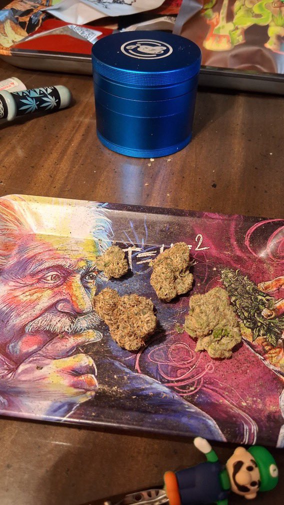 CloudKings5's tweet photo. Tap in 📲⛽️ weed Kragujevac weed Aranđelovac weed Topola weed Rača weed Batočina weed Lapovo weed Knić weed Stragari weed Gruža weed Gornja Trnava weed Belosavci weed Natalinci weed Jovanovac weed Desimirovac weed Grošnica https://t.co/YUVjnA25Mm