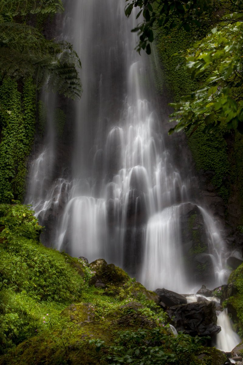 naturebeautyh's tweet photo. Nature Waterfall https://t.co/hoDh790HzL