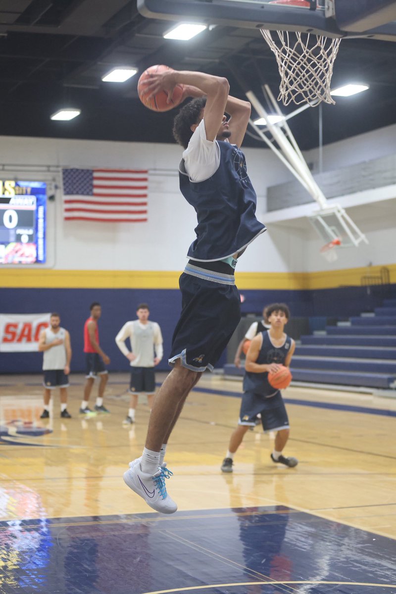 txweshoops's tweet photo. Back in the lab! 🧪 #RamsUp 🐑🏀🔥 https://t.co/KuBuBnwC9K
