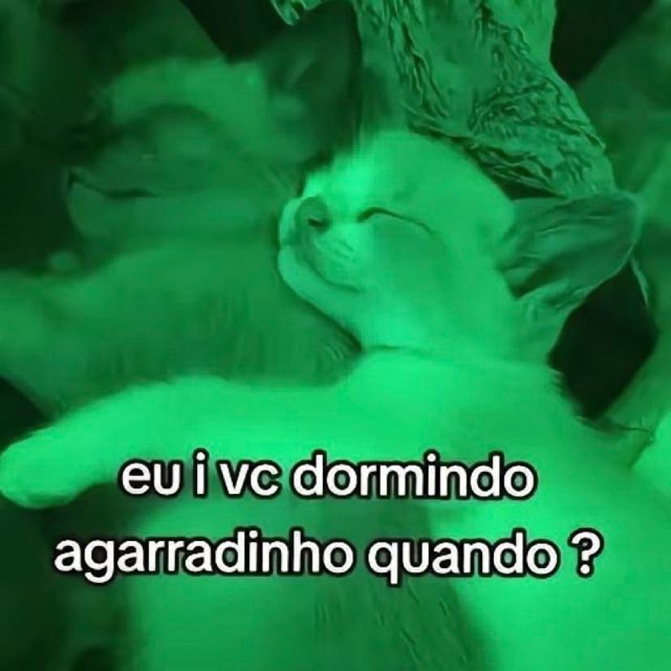 relacionemos's tweet photo. em em em https://t.co/gWLVQltMfO