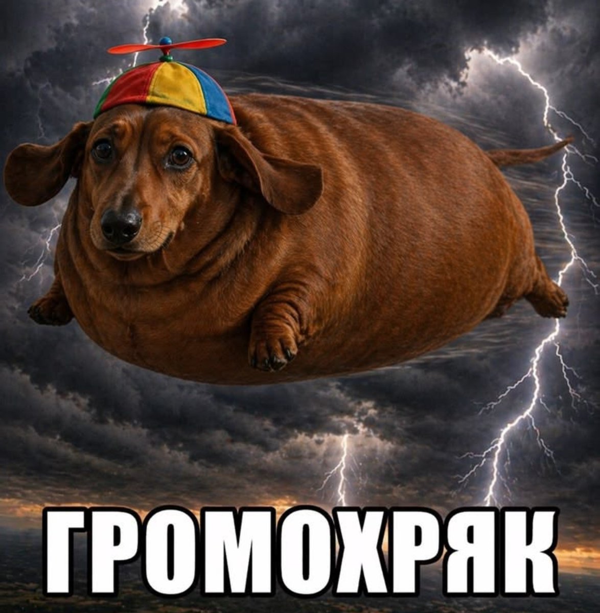 quseau's tweet photo. @Kiulolpol потому что они правят миром https://t.co/rn0KeBzaKt