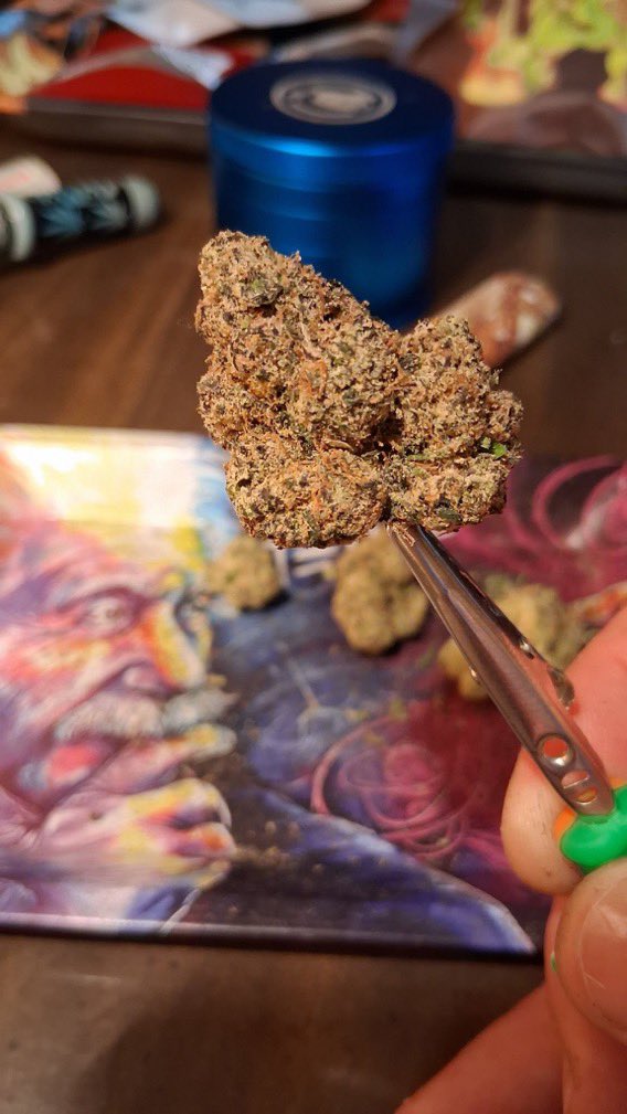 GreencloudCO tweet picture