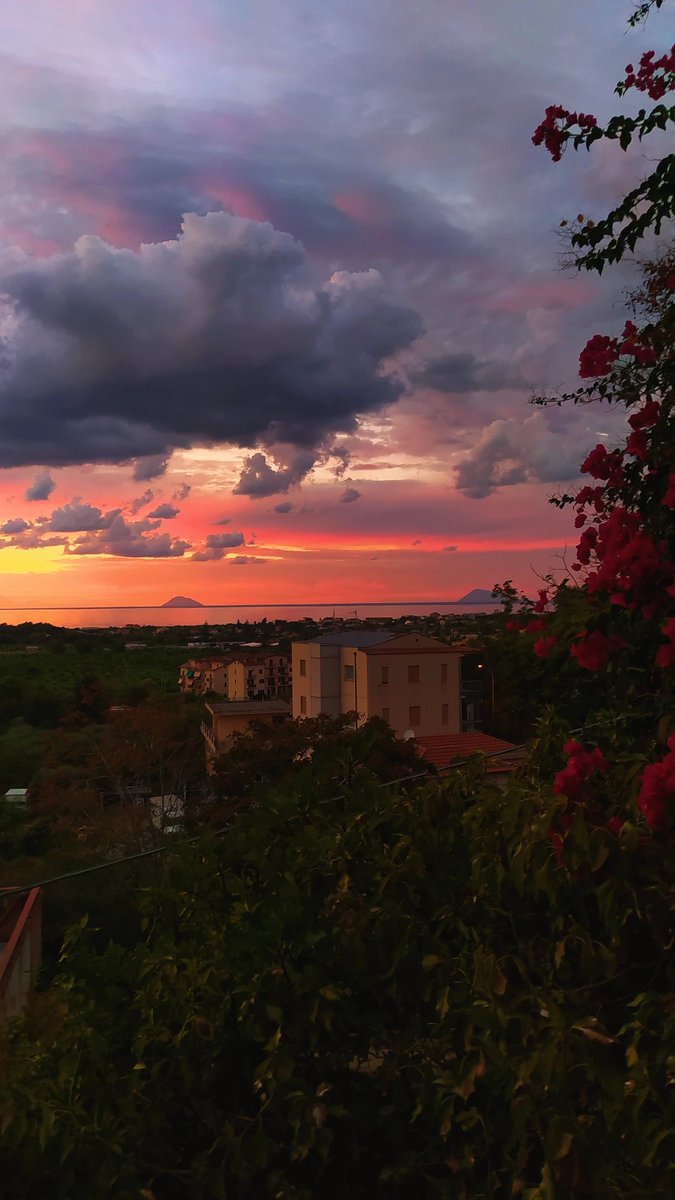 Maryoline7's tweet photo. Un tramonto non รจ mai semplice...ci sono mille sfumature ogni volta che lo guardi.๐น๐ฉ
Dal giardino di casa mia auguro a tutti una serena e dolce notte.
#Alicudi e #Filicudi le piรน piccole delle Isole Eolie https://t.co/iEZqx2Jvkc