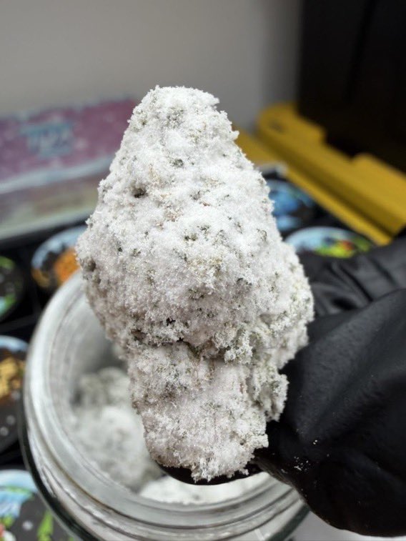 GreencloudCO tweet picture