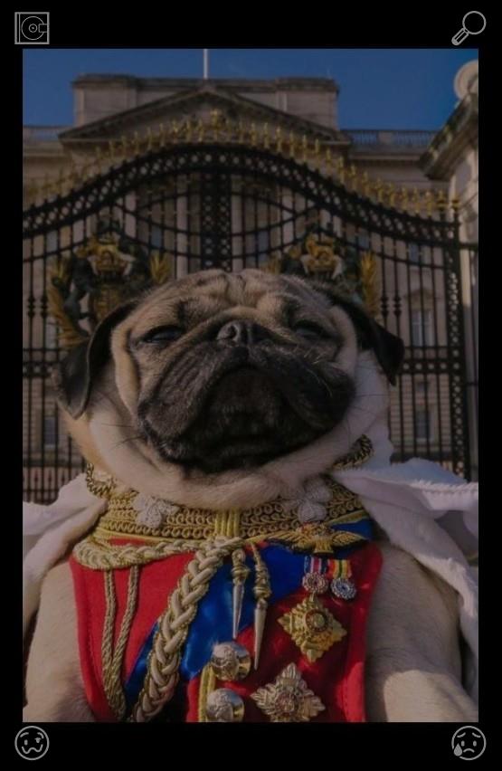 James12507223's tweet photo. The next day, I wake up early, eager to get back on the water. I make coffee, pack my gear, and head to the dock. The Wave Chaser is ready, and I climb aboard, feeling the familiar excitement.🖕The dog runs in the park with friends https://t.co/uexaiEIF6L