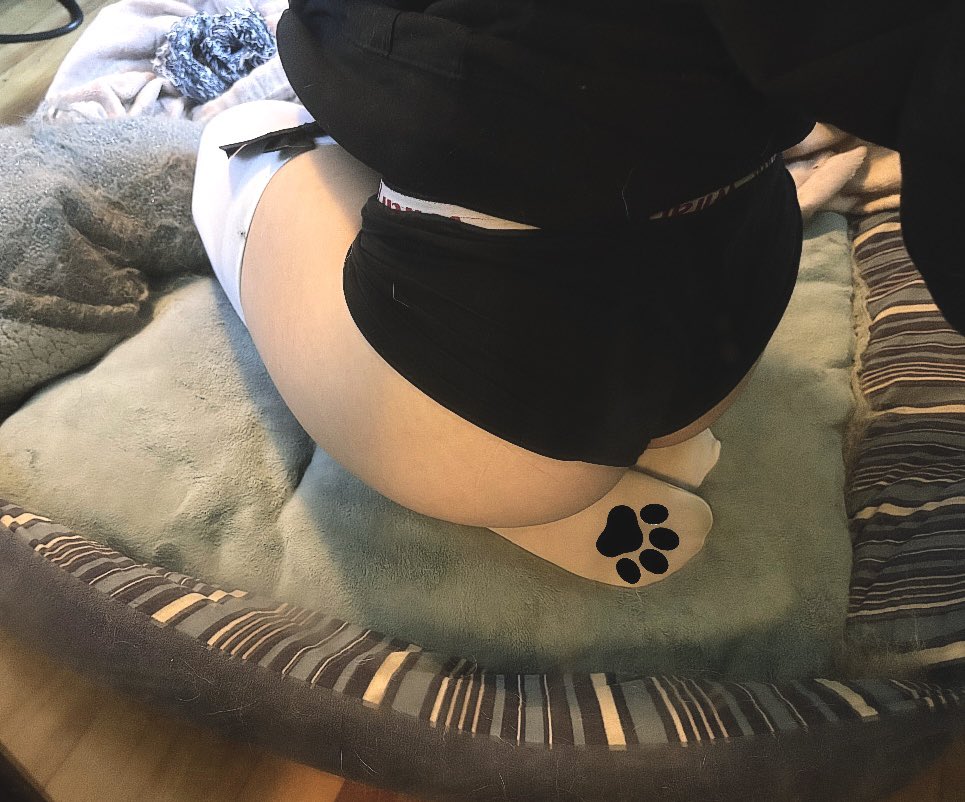dumb_mutt777's tweet photo. really wish i had a tail right about now X3 
#puppyboy #nsfwtwtًً  #puppytwt #femboytwt #bodycheck https://t.co/YPartYErad