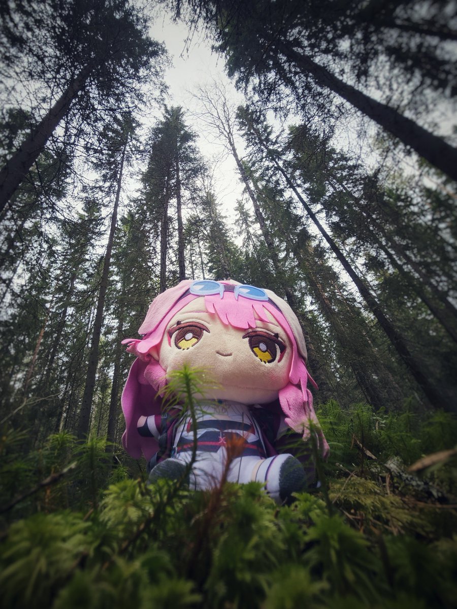 TomatoSomething's tweet photo. Raora in the forest 
⁽ˢʰᵉ ʰᵃᵗᵉˢ ᵗʳᵉᵉˢ⁾ https://t.co/Cc7yLwPtu2