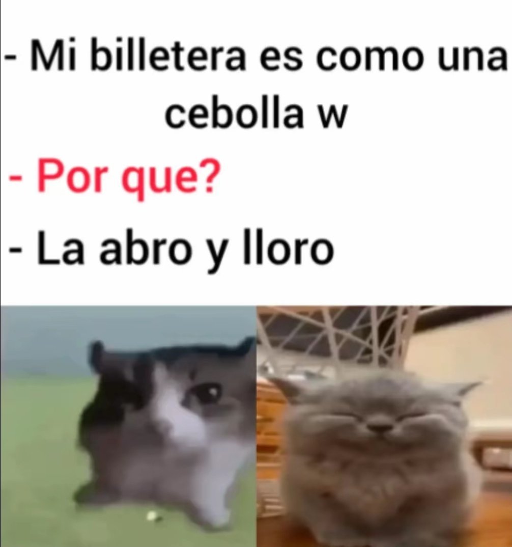Mantequilla90's tweet photo. https://t.co/LZA2psjkne