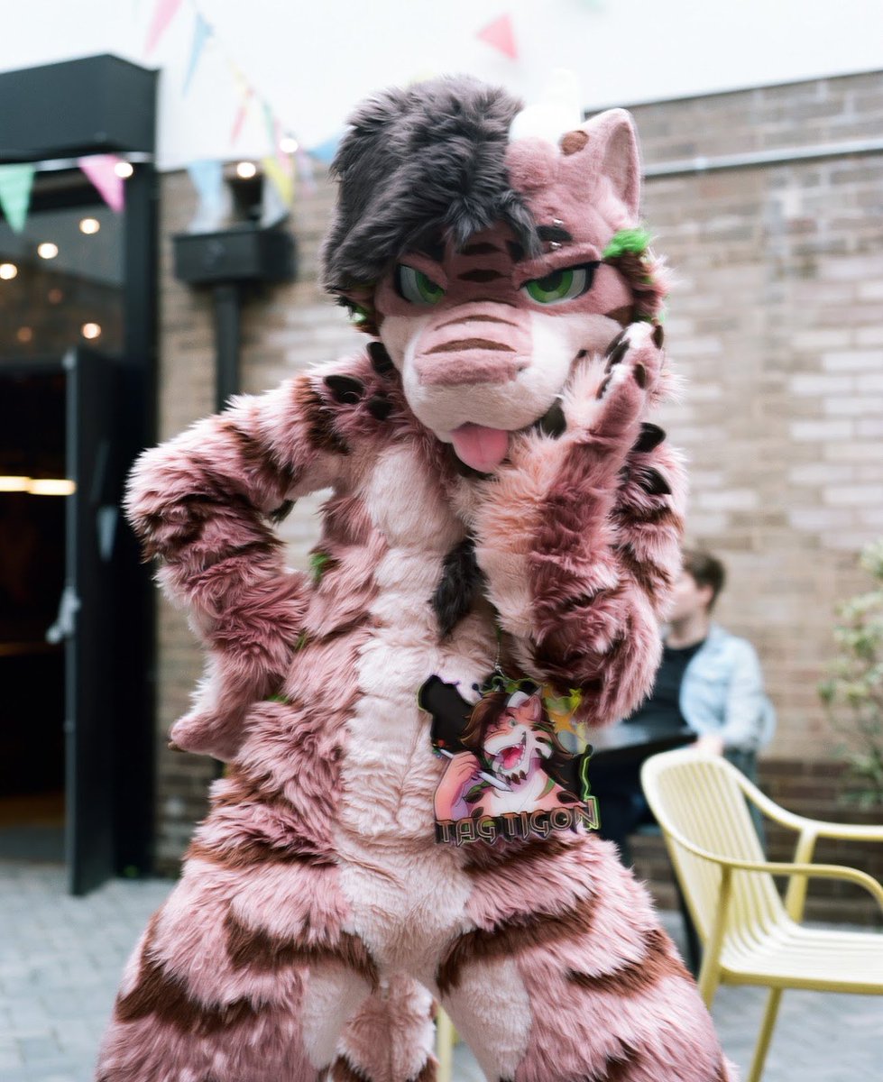 TagTigon's tweet photo. Come dance with me ✨🐾

📸 dazzlesweettooth at @BrumFurs https://t.co/jlvwjaXweg