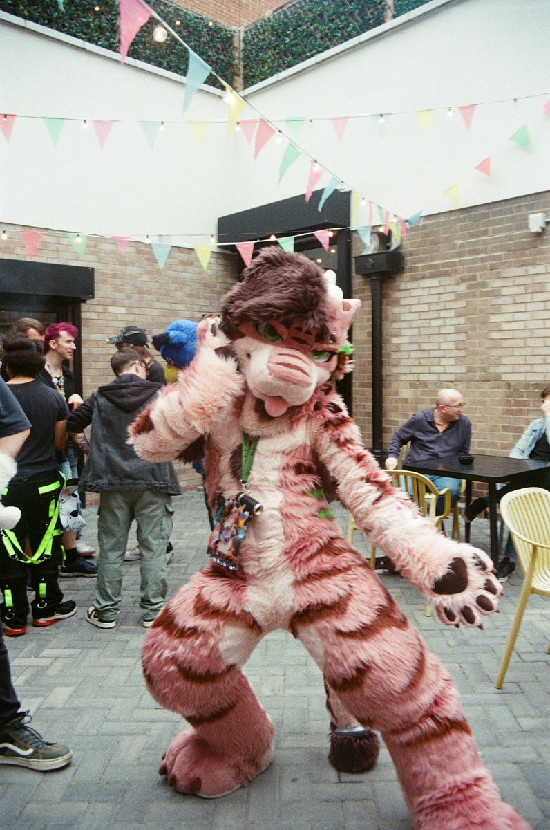 TagTigon's tweet photo. Come dance with me ✨🐾

📸 dazzlesweettooth at @BrumFurs https://t.co/jlvwjaXweg
