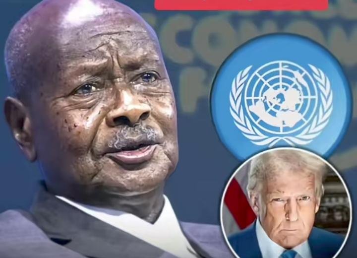 StellaC54091's tweet photo. @UNGeneva @antonioguterres We need change in Uganda we elect bobiwine but museveni stole our victory https://t.co/DikKFnH9uw