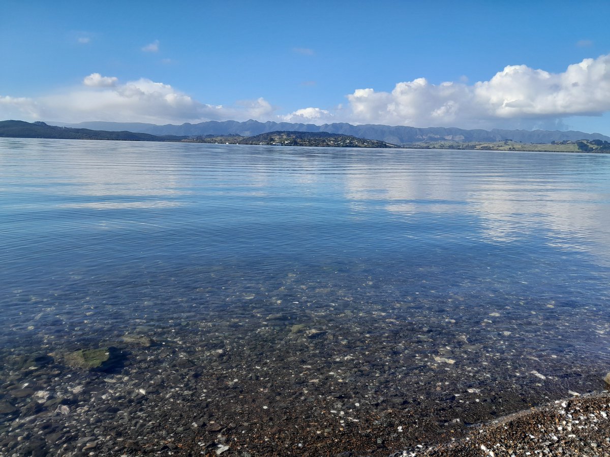 rikibowler's tweet photo. How lucky am I to live in a beautiful, safe environment #OnMyWalk #HokiangaHarbourNZ https://t.co/mFwtrUrHOf