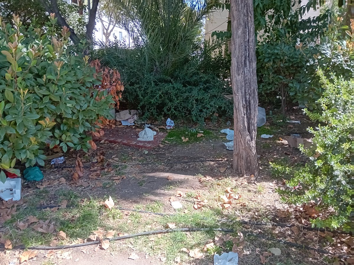 maipa1411's tweet photo. @OrlandoChaconT @Dorian_Oficial @GrupoPPMadrid @ppmadrid @PP_Villaverde @nnggvillaverde Asi esta todo el parque de san Cristóbal chabolas y suciedad , cumpla con su trabajo y déjese de fotitos y festivales,el pero concejal de la historia https://t.co/YL6KUORDaa