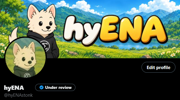 hyENAstonk's tweet photo. X verification paid! https://t.co/WDrlEAqWrL