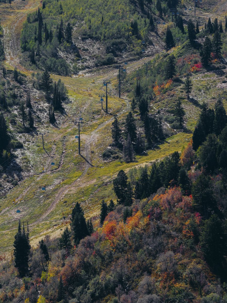 SnowbasinResort's tweet photo. What even are seasons?🍁🍂❄️🌲🏔️☀️

📸 - 9/23/2026
📍 - Snowbasin Resort, Utah https://t.co/GZY6HkhIwu