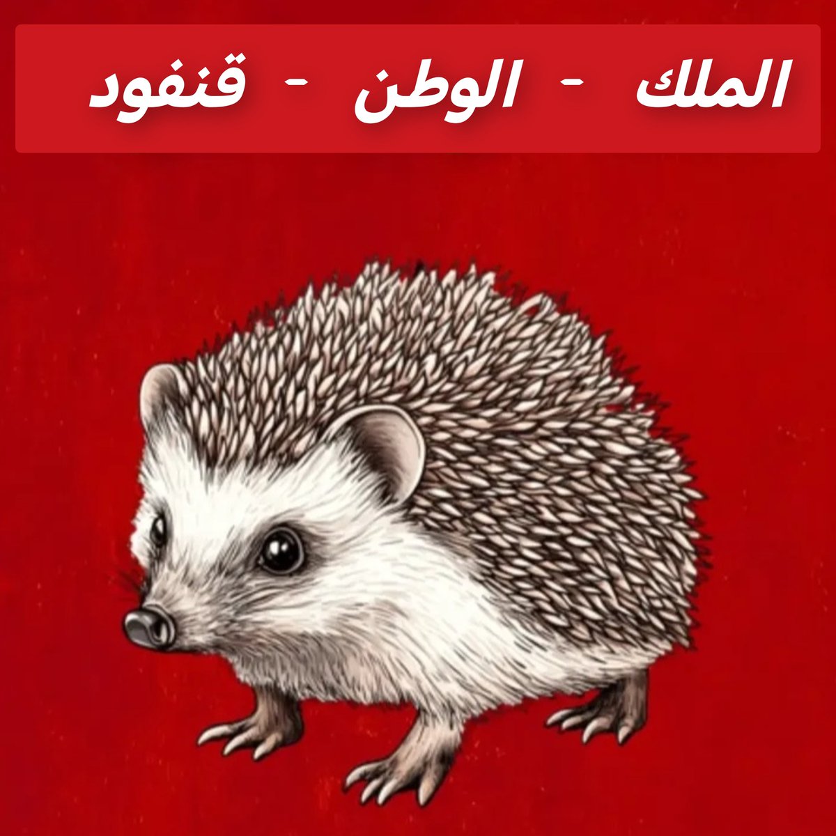 AlexAlias1980's tweet photo. @AhmedDaoud69 https://t.co/ZIsaiOkvay