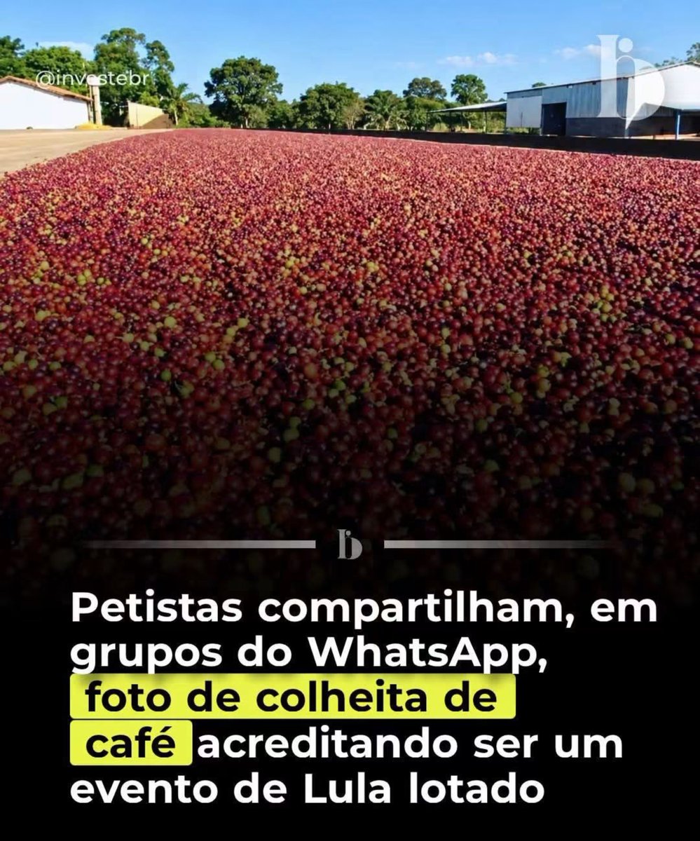 Gardenalpequen3's tweet photo. Petista é bicho burro mesmo 😂😂😂 https://t.co/fi6n0rgRBl