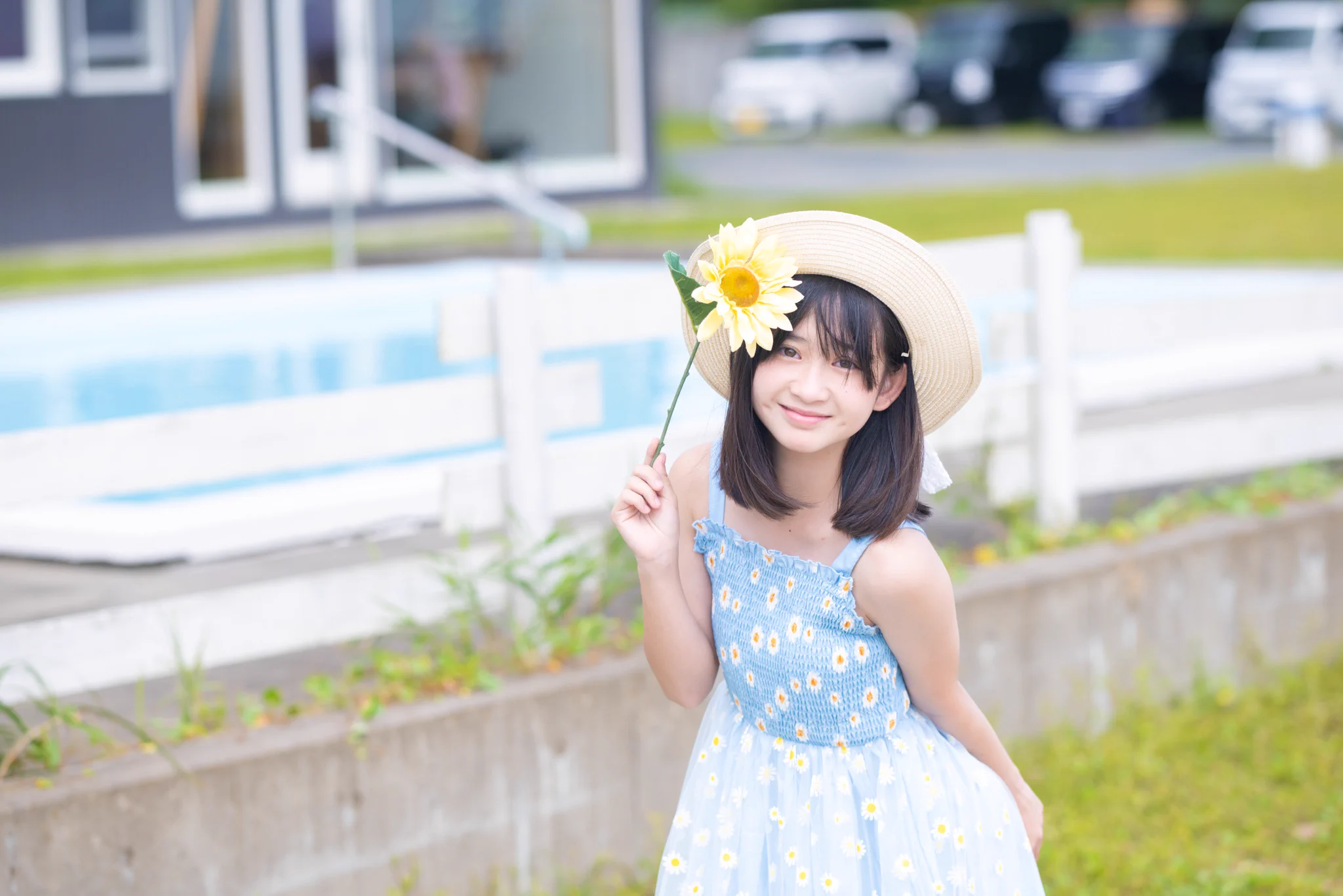 とらちゃん on X: 