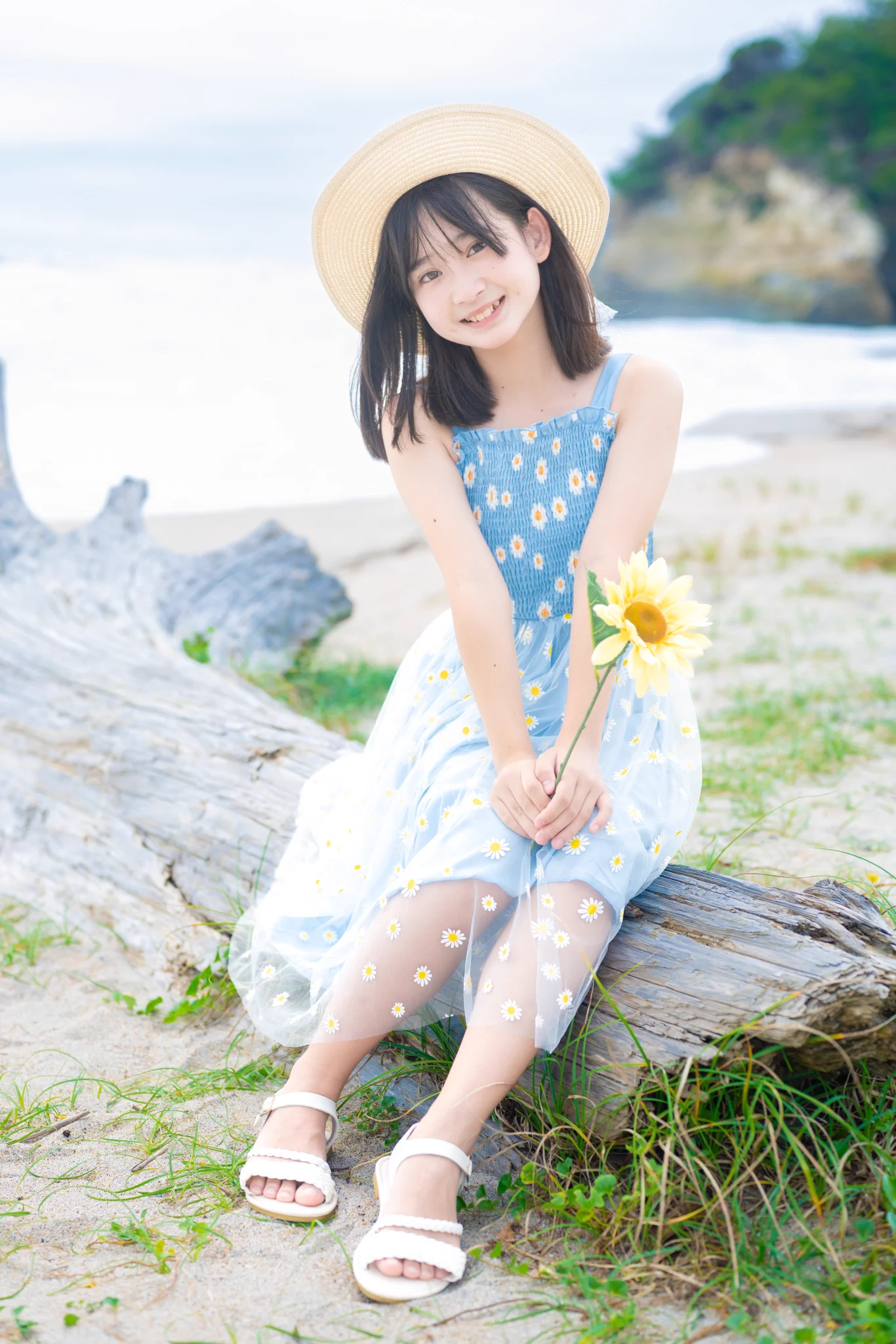 とらちゃん on X: 
