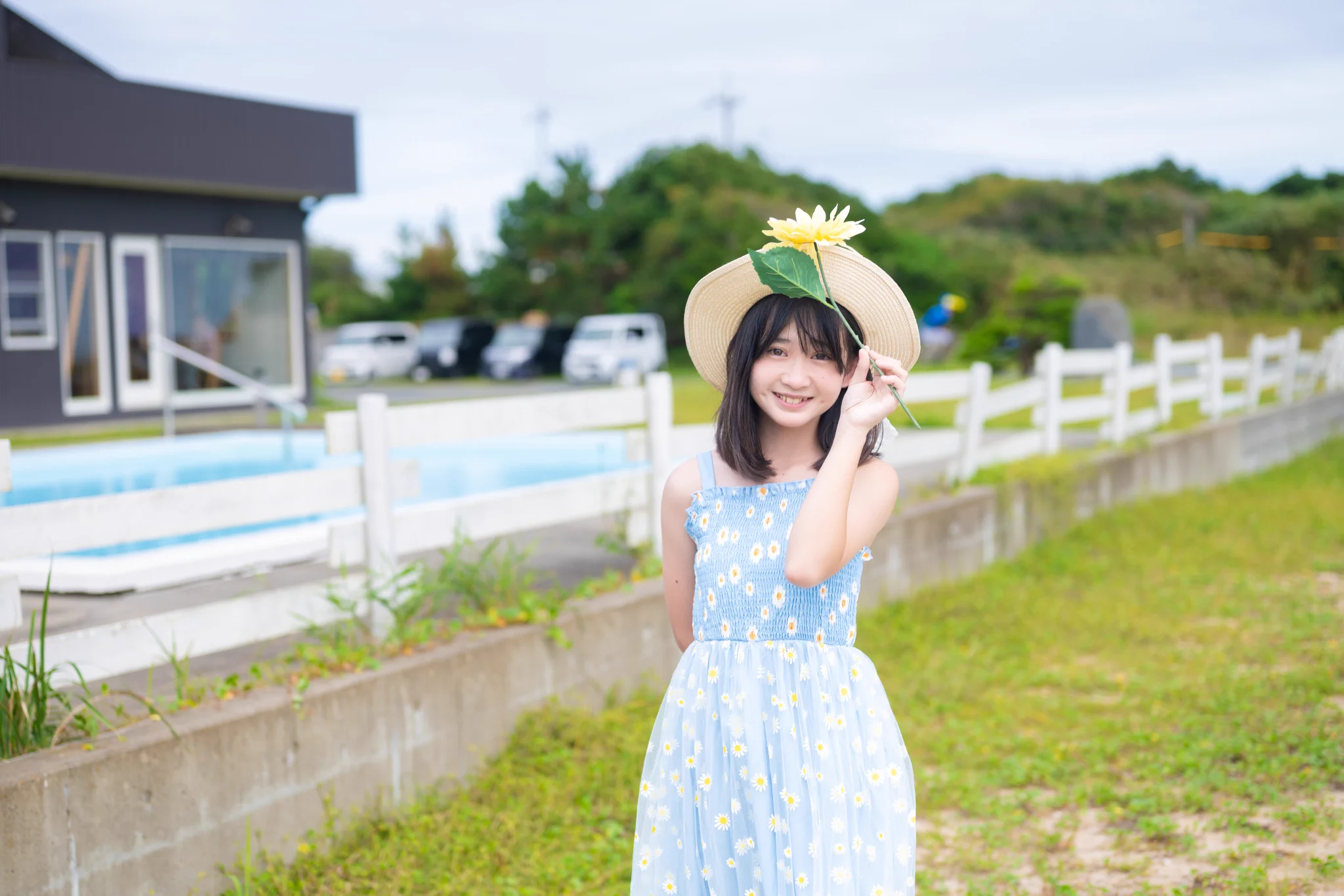 とらちゃん on X: 