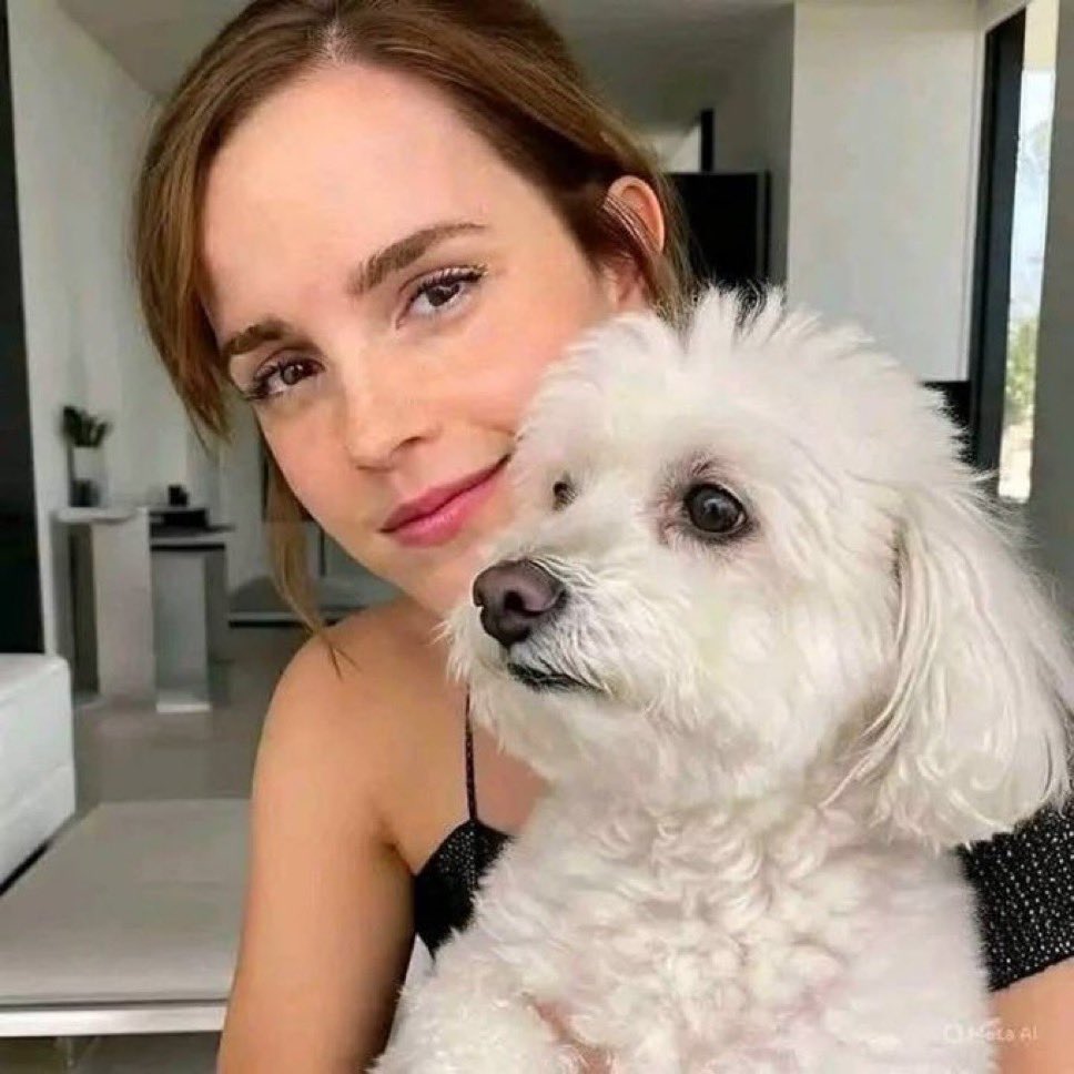 EmmaWatson3667's tweet photo. https://t.co/Rsmm94fFzw