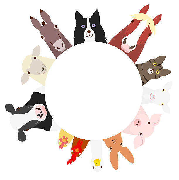 AugerCoracgx5's tweet photo. 猫の春毛並み🌸🐱 https://t.co/6xWqOemJ0K