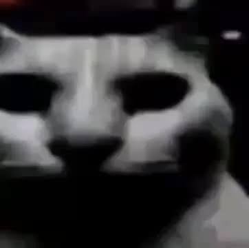 MrMoonKnightXD's tweet photo. Todos antes de Absolute: por qué Batman tiene un hacha??

Después de Absolute: por qué Batman solo tiene un hacha https://t.co/k83hD9wcoh