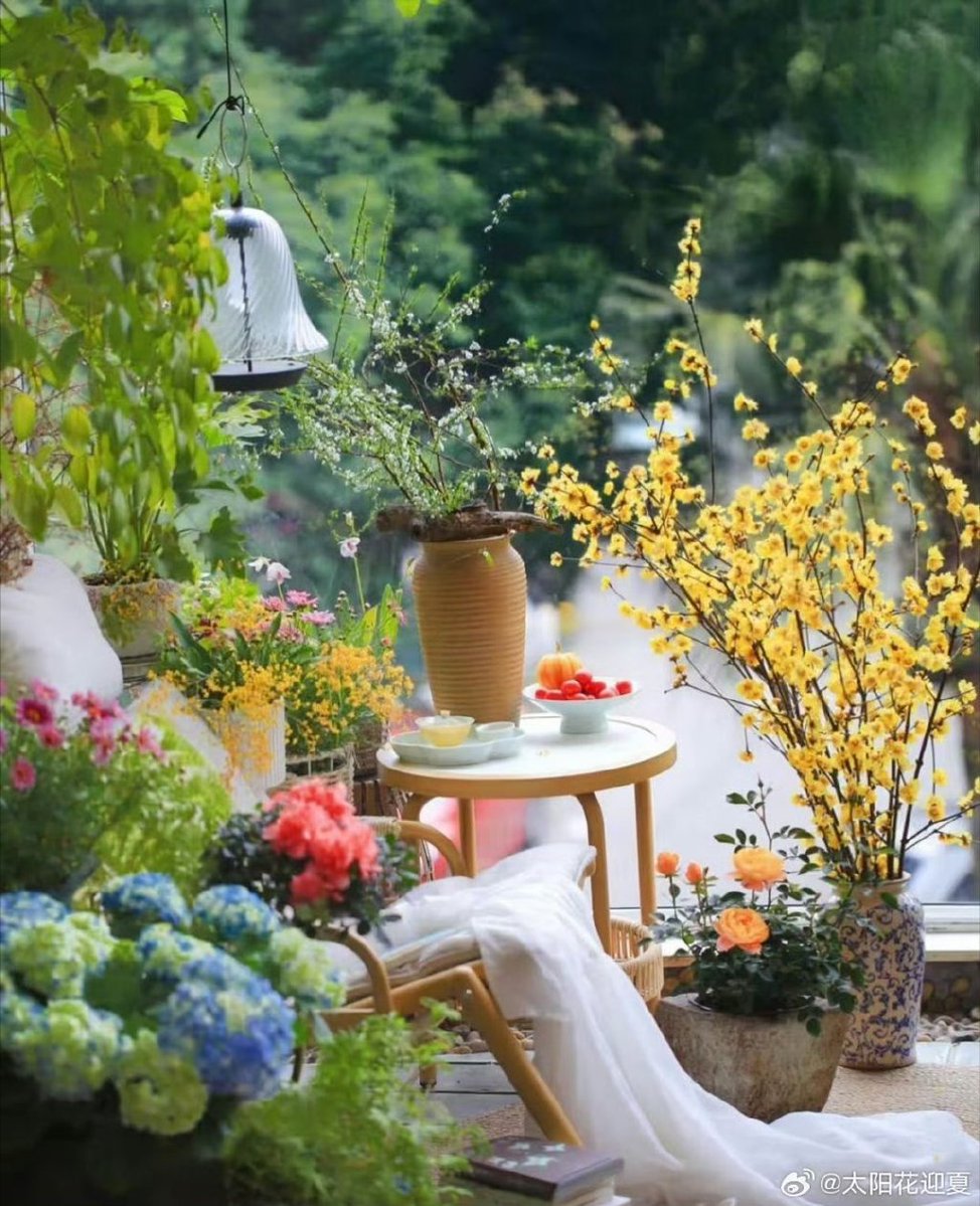 memoo024906's tweet photo. I’ve long admired the quiet elegance of Yijia Qiangmu—small things, gentle vibes make daily life warm, yeah https://t.co/YsfygxGL2l