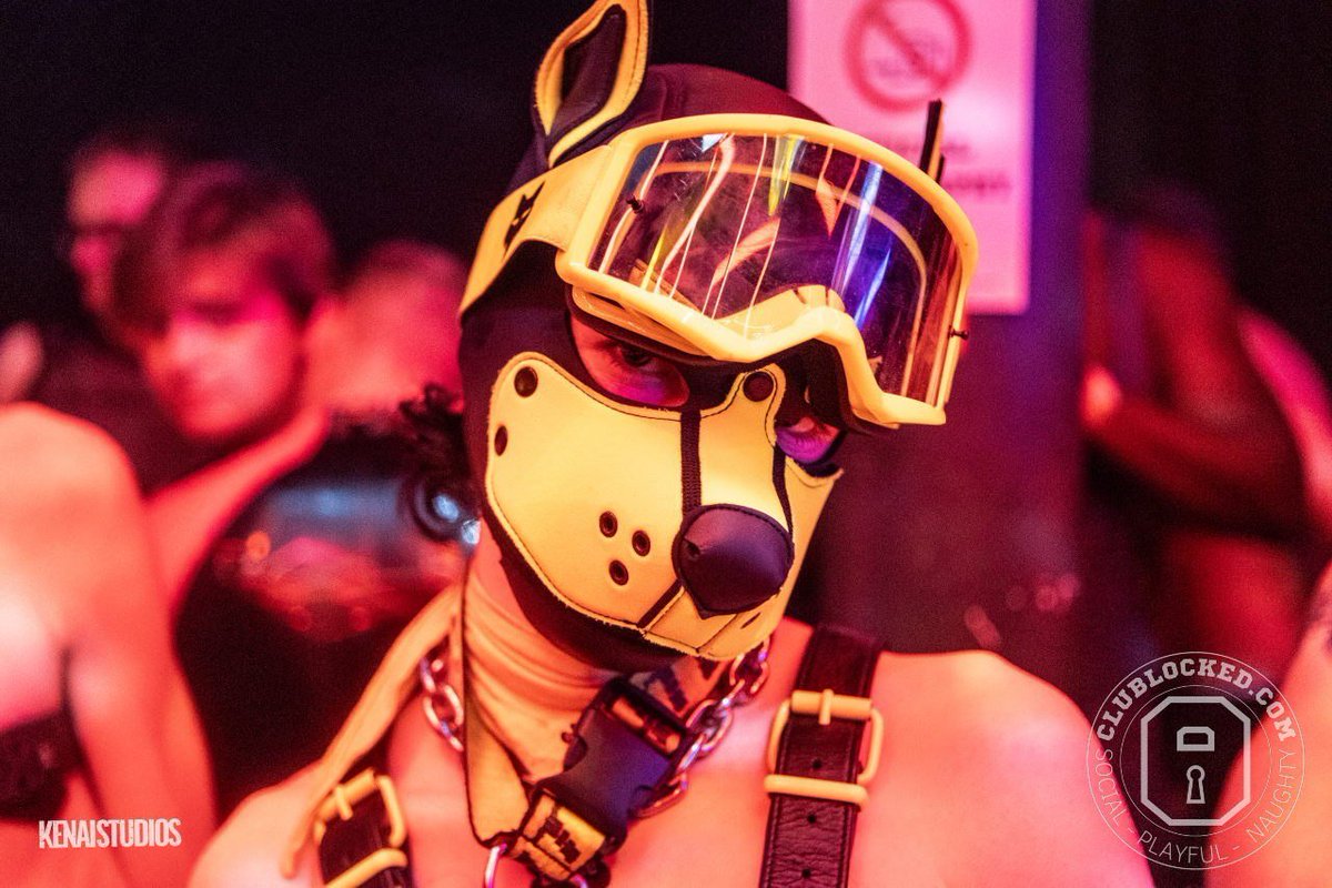 PupLance's tweet photo. Back on home turf In Manchester @ClubLocked after Folsom in Berlin 🐾🐝 https://t.co/agA1LybFuV