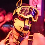 Photo by Lance (@PupLance)