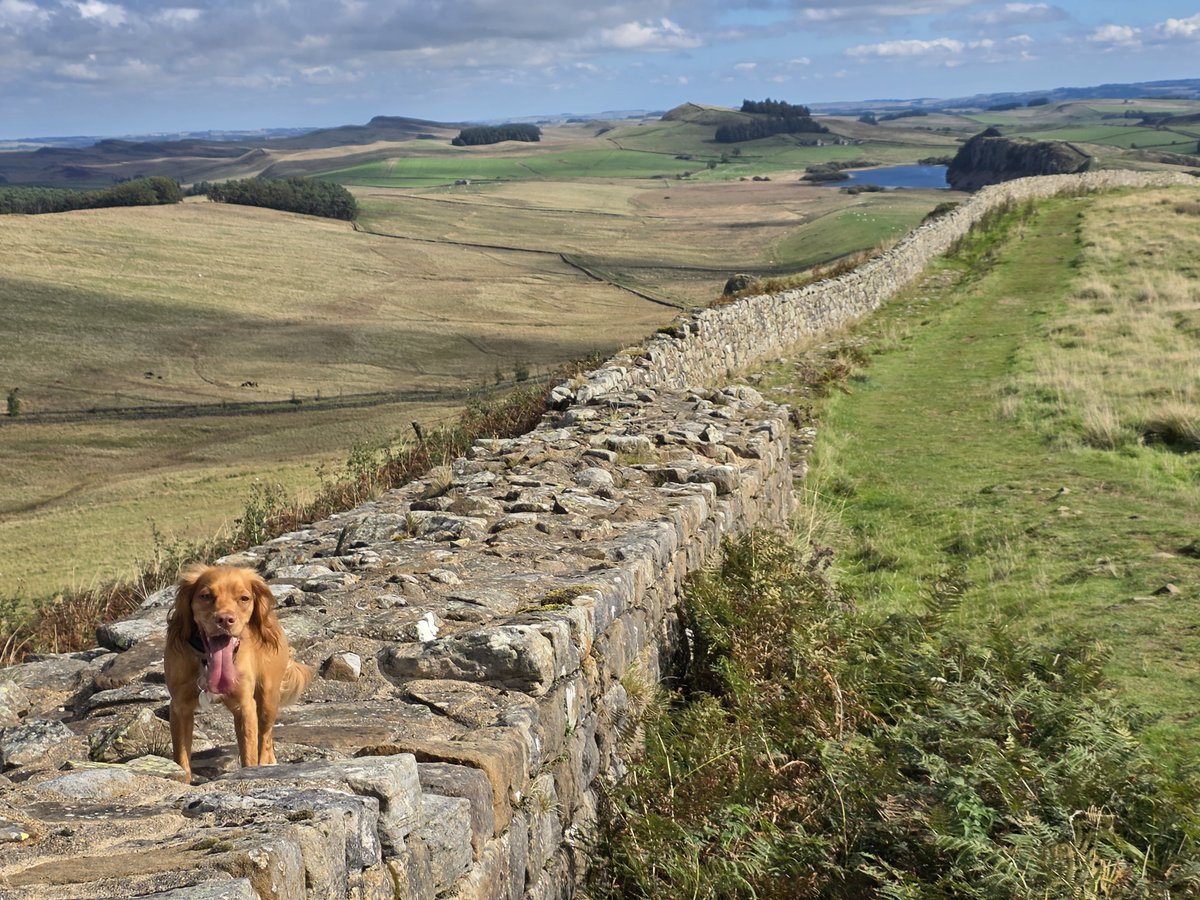IndieCraftKDL's tweet photo. A great couple of days in Hadrian's Wall country. Stayed at @herdinghillfarm and had a great time at @twicebrewedinn . Would recommend to anyone for food, beer and hospitality #hadrianswall #twicebrewedinn https://t.co/tMEYGGbrxz