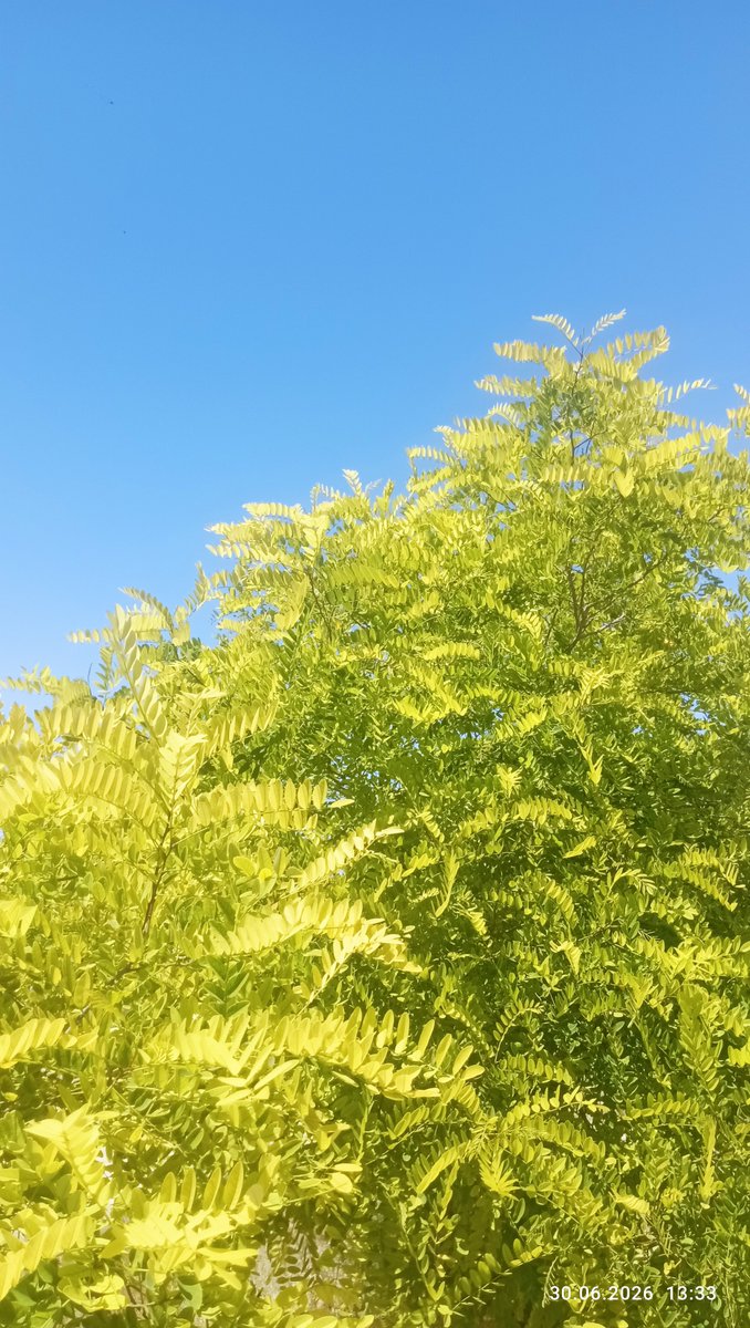 IRINAcdxp's tweet photo. 🤍🌿💙Summer continues 🎀🔥☺️ https://t.co/8AeYgksbPW
