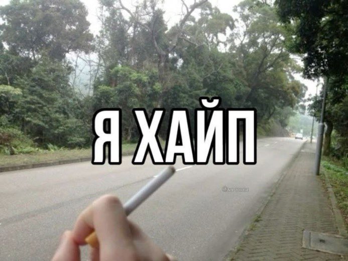 vivienneq94's tweet photo. за пол месяца скатился с 12к шагов до 1к https://t.co/ZCa4TFaBwS